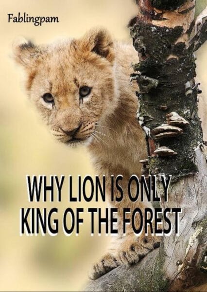 why lion is only king of the forest Read free stories, nigerian, african, igbo, mythology, folktale, short stories, lite novels